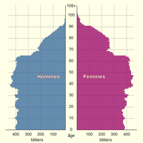 glossaire demographie pyramide